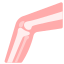 ارتوپدی فنی